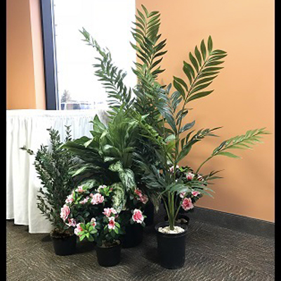 Small Tropical Grouping - Themed Rentals - artificial tropical plants for rent